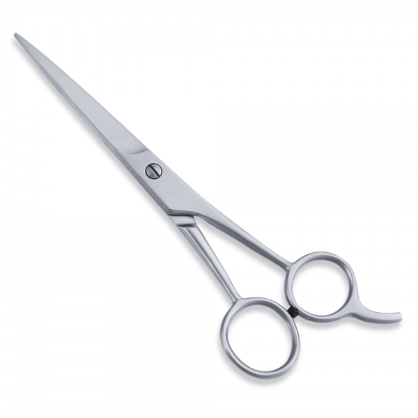 ECONOMY HAIR SCISSORS